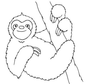 Adorable baby sloth smiles on branch coloring page