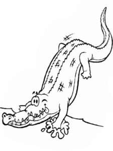 Alligator’s grin: sharp teeth revealed coloring page