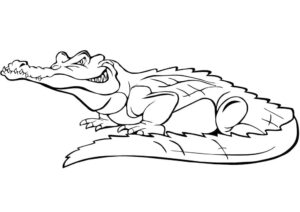 Alligator’s grin: sharp teeth revealed coloring page