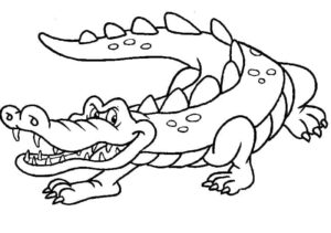 Alligator’s sharp teeth: a wild encounter coloring page