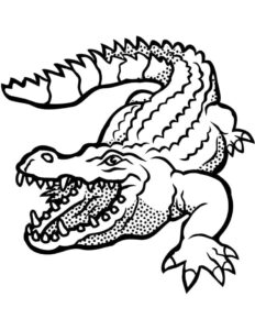 Alligator silhouette: a striking image coloring page