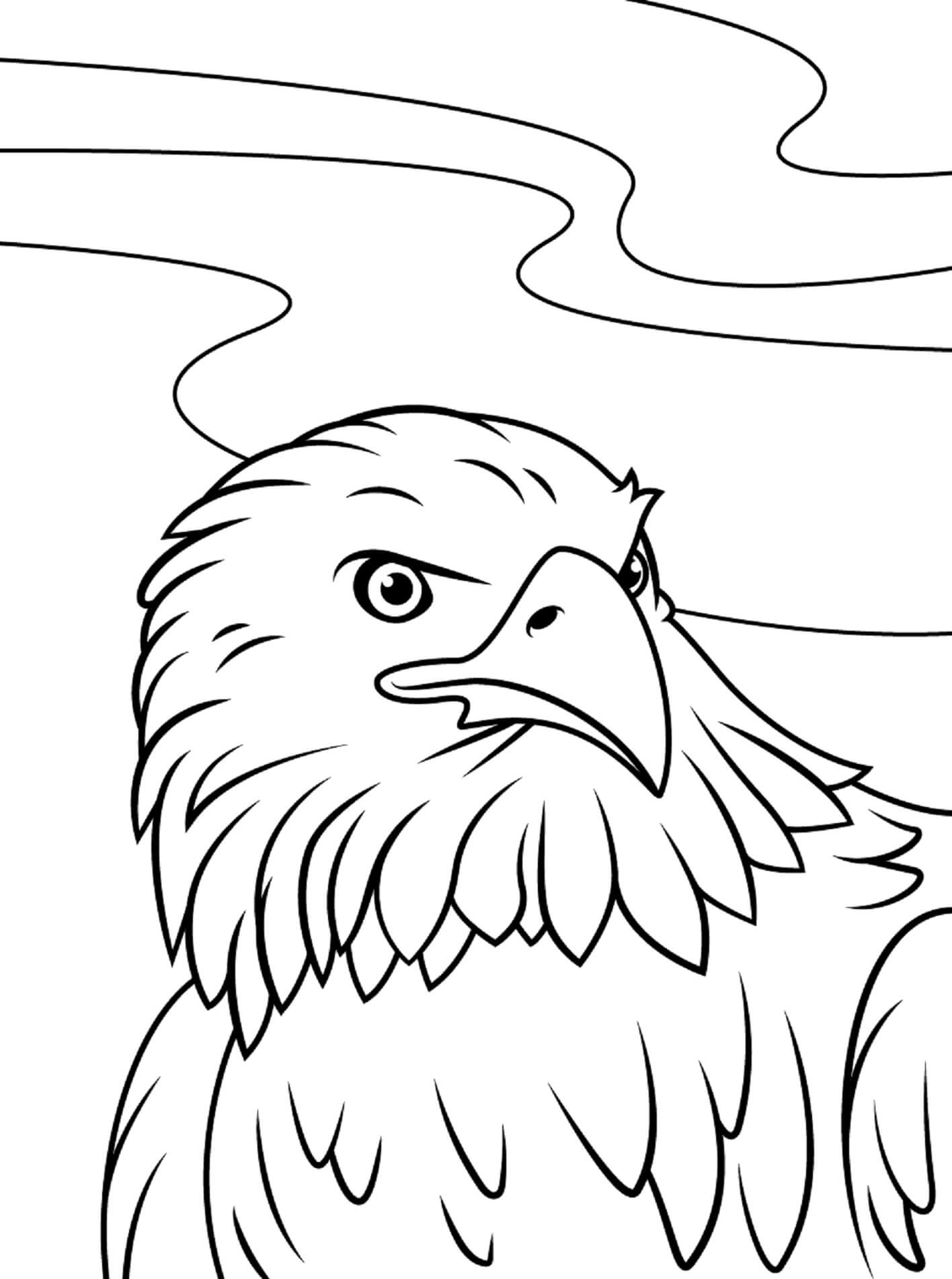 Angry eagle: feathered fury and challenge