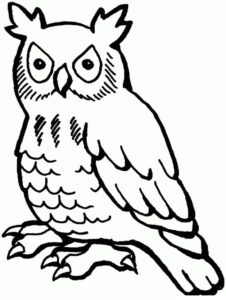 Angry owl glares from branch coloring page