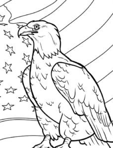 Bald eagle soars over american flag coloring page