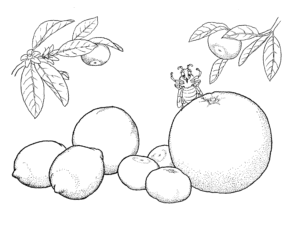 Bee buzzes on ripe apple tree coloring page