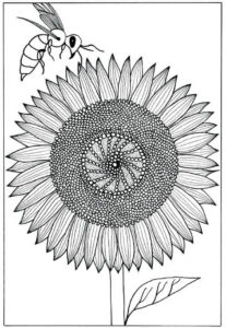 Bee & sunflower: a close encounter coloring page