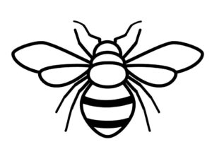 Black and white bee photography coloring page