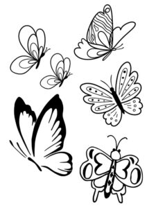 Black & white butterfly art: 6 unique designs coloring page