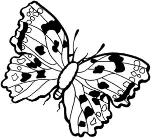 Black & white butterfly flies left coloring page