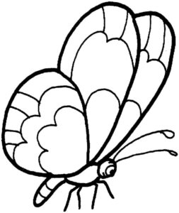 Black & white butterfly on white surface coloring page