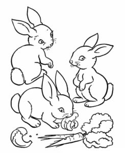 Black & white rabbits: a shared anticipation coloring page