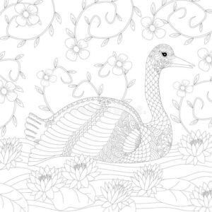 Black & white swan amidst water lilies coloring page