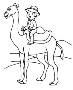 Boy rides camel: majestic desert scene coloring page