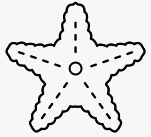 Bright star shines in night sky coloring page