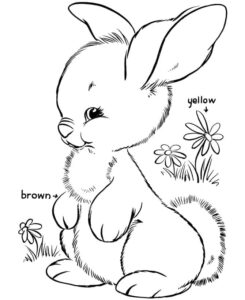 Bunny gazes at mystery bloom coloring page