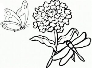 Butterfly and dragonfly on flower: nature’s beauty coloring page