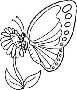 Butterfly lands on giant flower coloring page