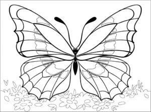 Butterfly sipping nectar amidst blooming flowers coloring page