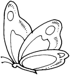 Butterfly resting: closed wings coloring page