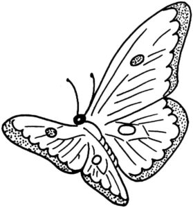 Butterfly wings span picture’s edge coloring page