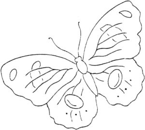 Butterfly wings: tiny dots & lines coloring page