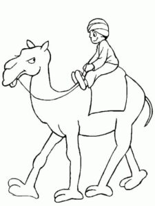 Camel ride under desert sun coloring page