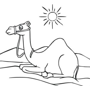 Camel trek under desert sun coloring page