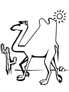 Camel trekking under hot sun coloring page