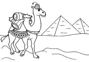 Camel walks past pyramids coloring page