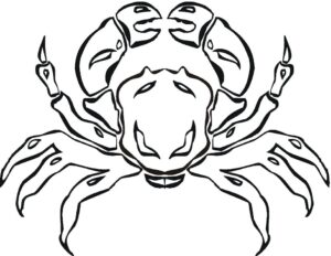 Close-up: crab’s threatening silhouette coloring page