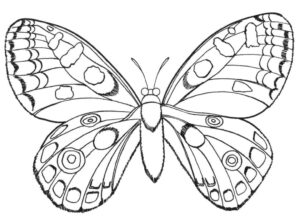 Colorful butterfly with circle & dot wings coloring page