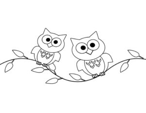 Colorful owls share silent wisdom coloring page