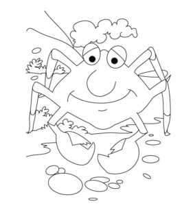 Crab basking in sun puddle coloring page coloring page