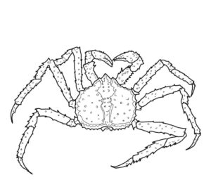 Crab painting: tiny dots, reaching out coloring page