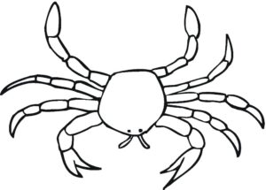 Crab stalks prey in dramatic scene coloring page