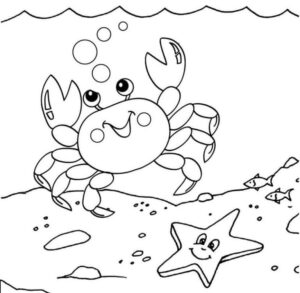 Crab & starfish beach encounter coloring page