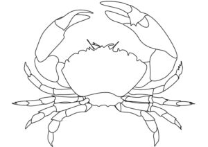 Crab’s mighty claws: a force of nature coloring page