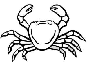 Crab’s silent plea: a still life coloring page