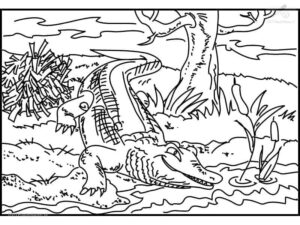 Crocodile emerges: sunlight, shadows, and sky coloring page