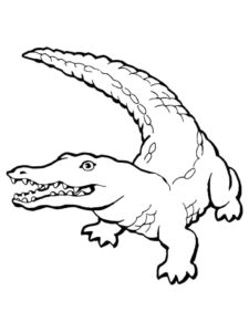 Crocodile’s jaws: razor-sharp teeth coloring page