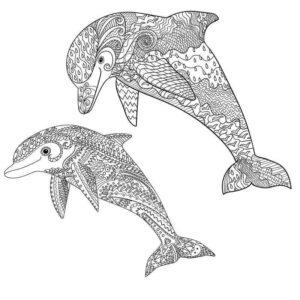 Dolphin duo: big & small, side by side coloring page