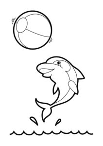 Dolphin leaps for ball: amazing photo coloring page