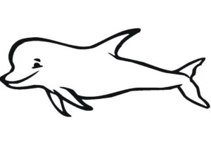 Dolphin leaps, smiling mouth open coloring page