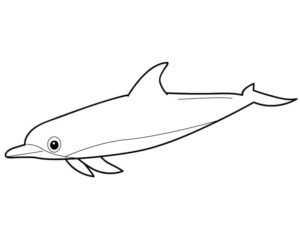 Dolphin leaps: sunlit splash of grace coloring page