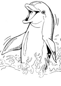 Dolphin yawns: ocean’s sleepy giant coloring page