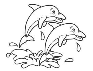 Dolphins swimming: tail splashing fun coloring page