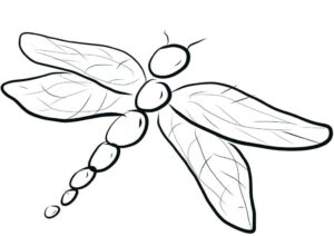 Dragonfly with curved body and spread wings coloring page