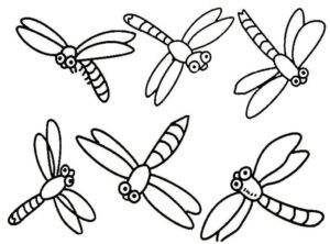 Dragonfly diversity coloring page coloring page