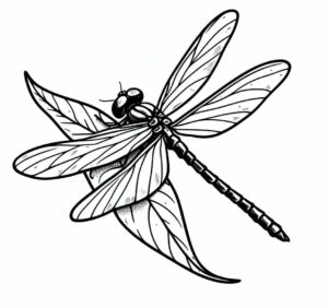 Dragonfly’s final resting place coloring page