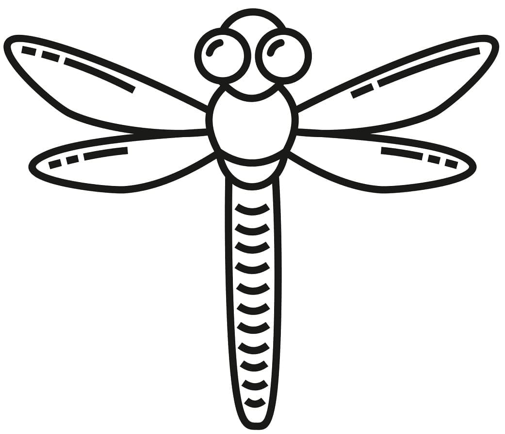 Dragonfly long body, big eyes coloring page